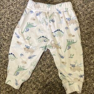 Dinosaur Print Baby Pants
